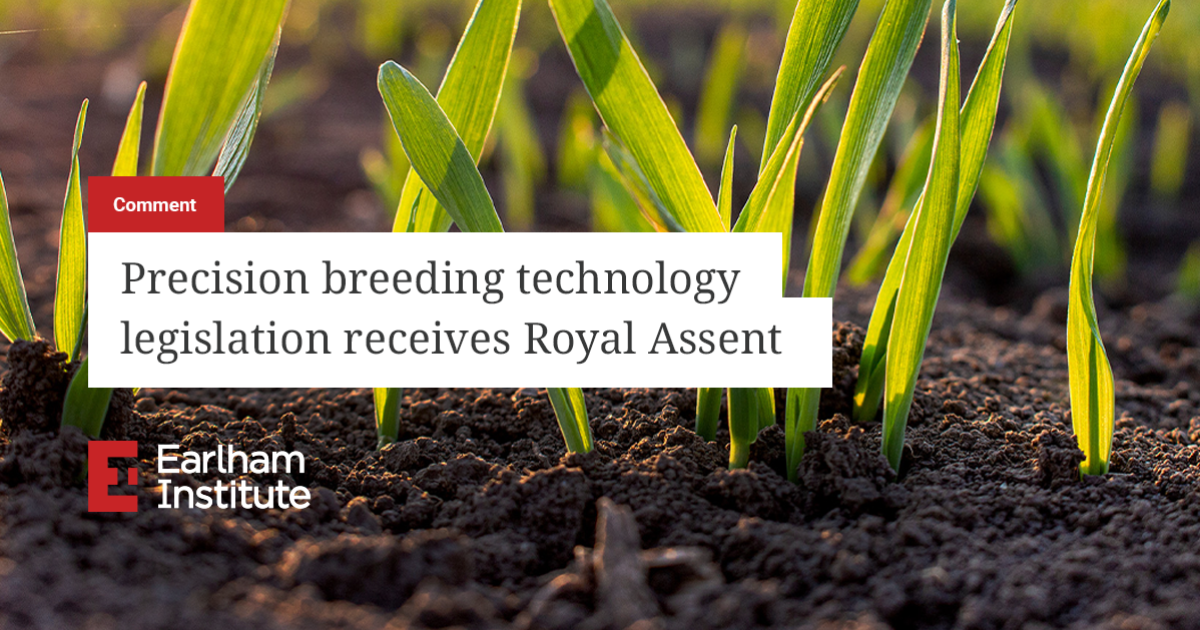 Precision breeding technology legislation receives Royal Assent